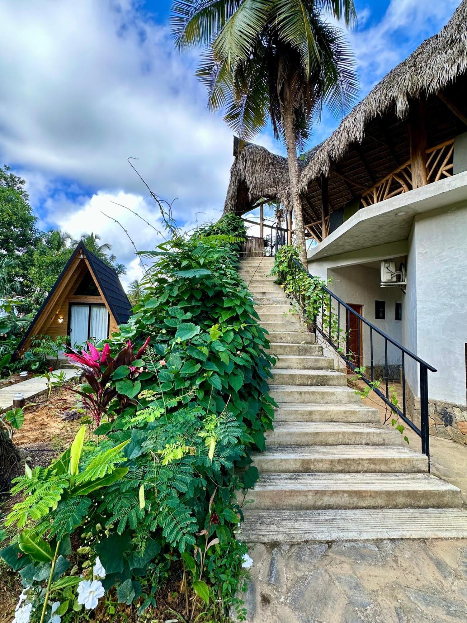 Leisy'S Garden Hostel & Rooms Samana Luaran gambar